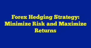 Forex Hedging Strategy: Minimize Risk and Maximize Returns